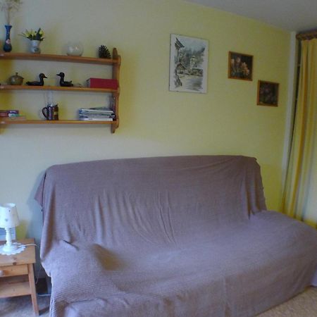Studio Cosy Au Centre De Samoens Avec Parking Privatif - Fr-1-629-118 Exterior foto
